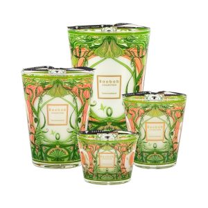 Baobab <br>Scented Candle - Tomorrowland 2025